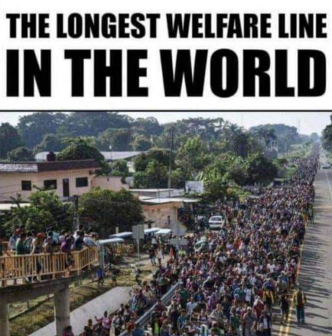 welfare
