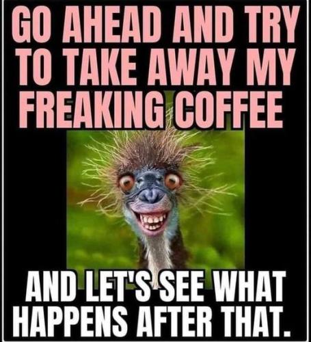 422973397_3737316629822875_8837856297221207700_n