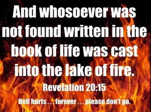 e9c61a20-3869-4387-ace1-aedf887e5d9a