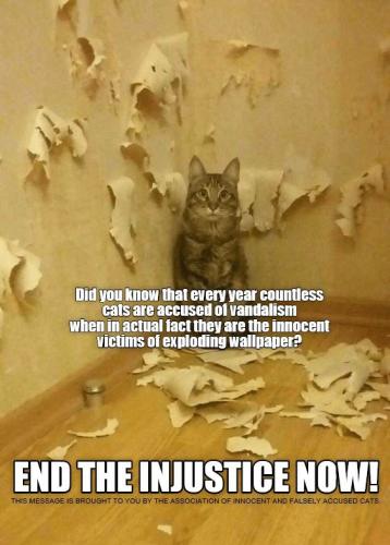 63f9babee4f7c27d903ed84a88376732