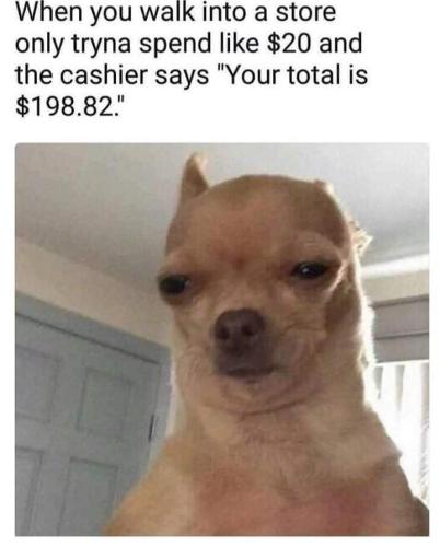 FB_IMG_1706373692151