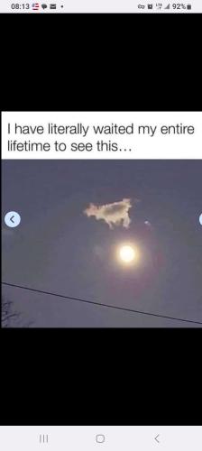 8e6773de-741f-4664-a071-6719322e53fc