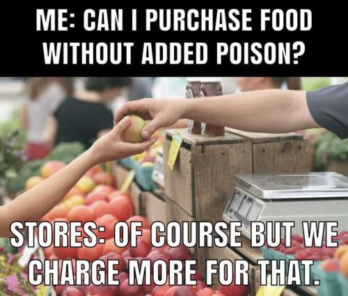 FB_IMG_1706455760199