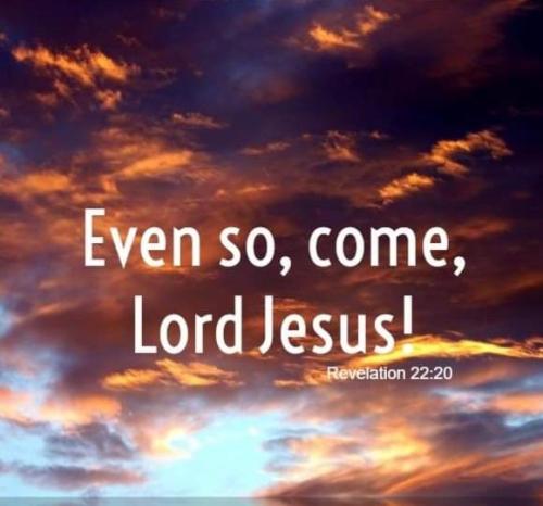 c4d4e8e6-825d-4128-a62c-7bdd70aab282