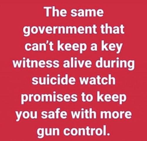 sngine_91cb5d37734950d0fe43e319ebd6f684