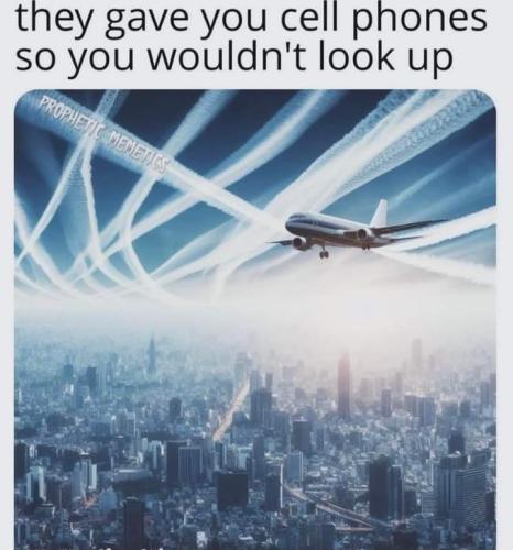 FB_IMG_1703942041470