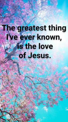 49608161_384956872256092_1629079360206012416_n