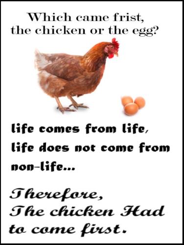 Chicken-and-egg-1320196284