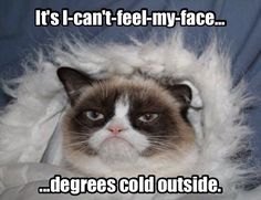 a970ea2a839843c4ce38e99e97d839b0