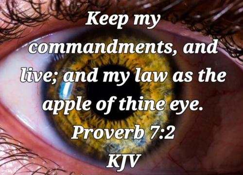 02:30:41 GMT-0800 (PST)