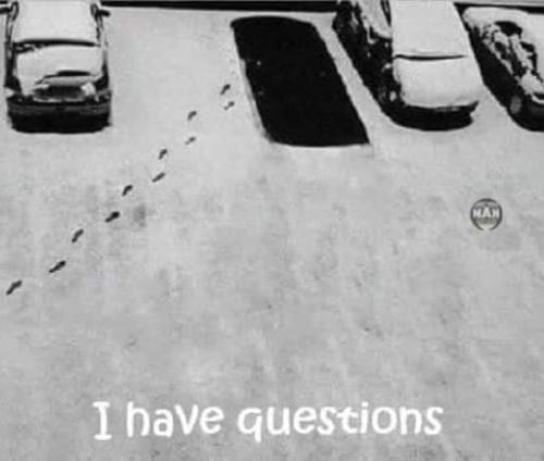 FB_IMG_1704313884971