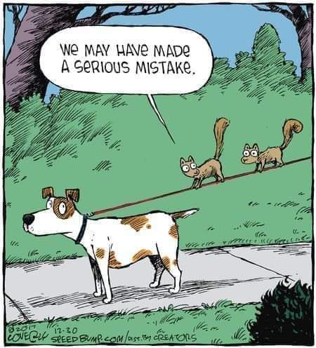 FB_IMG_1706530925713