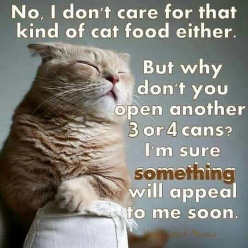 845fa0eba60023c533c504b6a82ce916