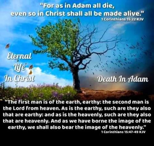 b45c3de5-9ae2-4938-8afc-e1d6a81d2cd9