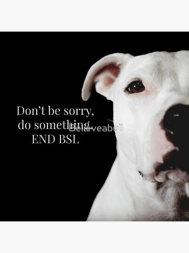 flat,750x,075,f-pad,750x1000,f8f8f8.u3