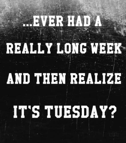 4cccdab455e65d34e7af8782fd28f2dc