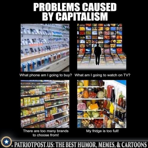 01HM0DT7FB7EFMD2DFVYHVAD1T