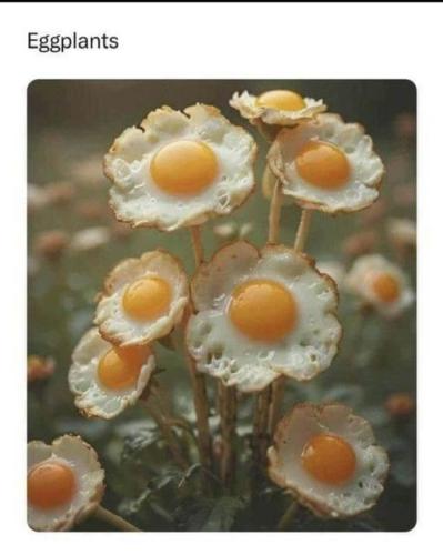 420157967_10219590090062012_8486477913502735522_n