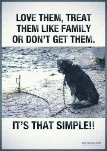 18429ec4dfa1ed6242a5537ef93cdc76