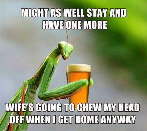 FB_IMG_1705280096544