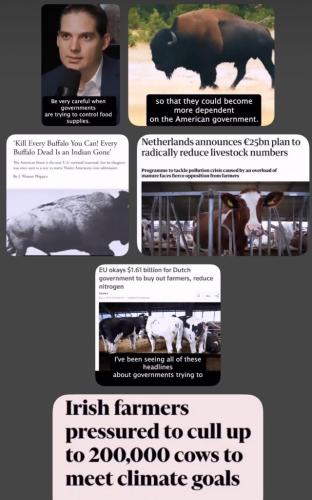 2E971040-1B00-4189-B1EF-B6BD321F4A17