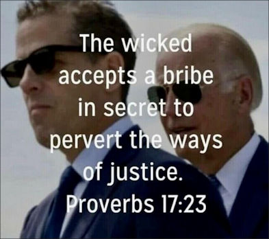 criminal activity156