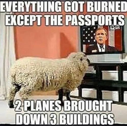 photo_2024-01-07_11-28-03