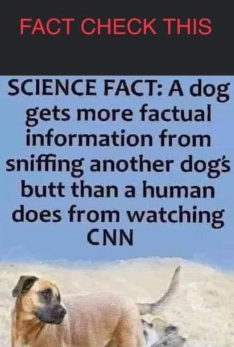 FB_IMG_1705326186211