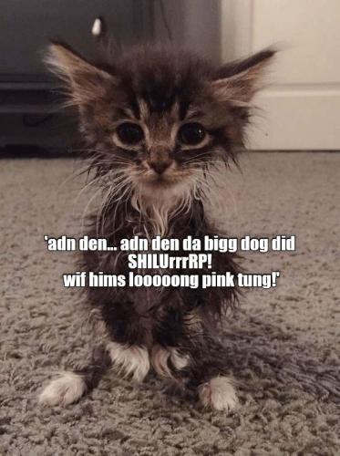 454b53bbccdb44ad66a4dbf496dbee27