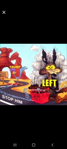 Screenshot_20240119-083843_Wimkin Free Speech Social Media