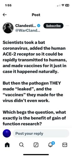 419948534_2320265184833055_2363397860441681240_n