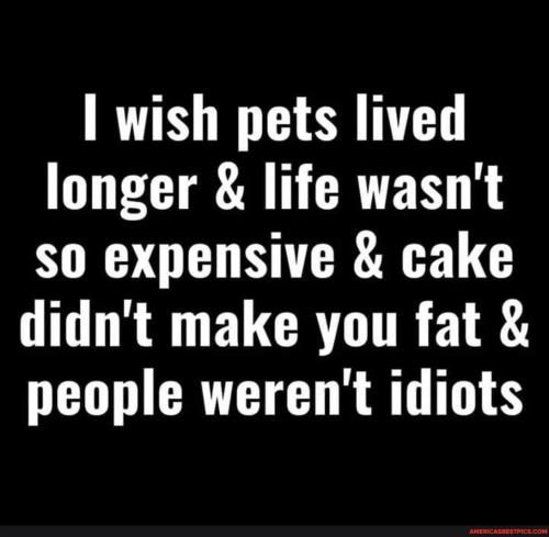 12149d61cc9bc8ed3a9406681fa7fec4e2f4ba2ac42b3b448c0d2c072dd40b6e_1