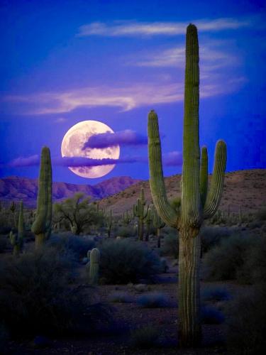 0879E08F-D525-40DF-8DE4-71518278F35F