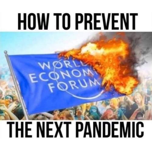 InstaFit_17055876689652636717894656096747