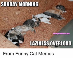 b1fa2bb1cca2d88f372cb43c6b507436