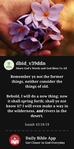 2024-01-011704136934140