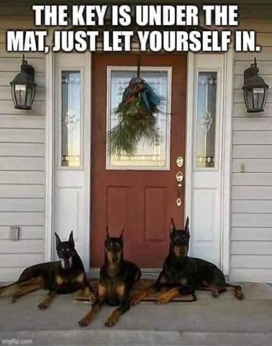 6408b2ee06707721871dea2094cd9083