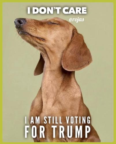 sngine_1b0606449f2c845985ce693a9060a713