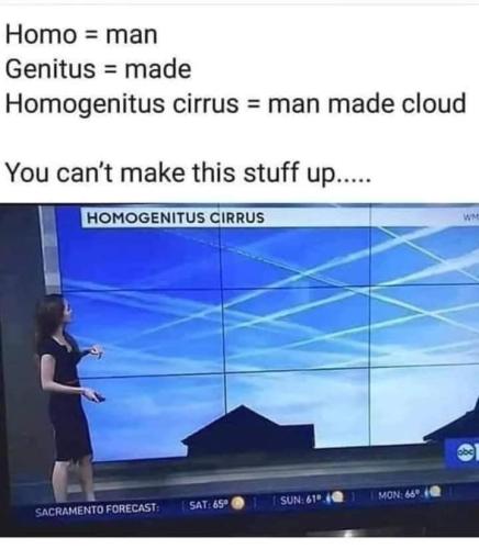 FB_IMG_1705359285726