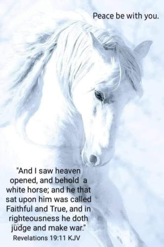 ebd28fa8-5e65-416f-8caf-f01b7fe5b152