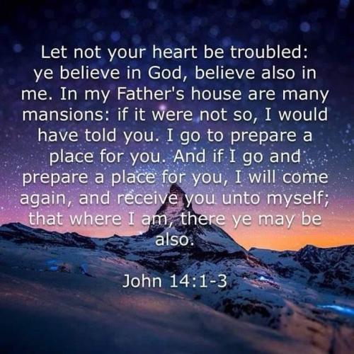 75eb9f15-f133-402d-936d-e73edb565dda