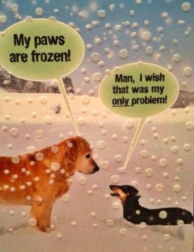 f752a4efd257242f40fa564dc31c4799