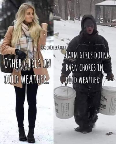 FB_IMG_1705593141147