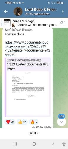 Screenshot_20240105-165821_Telegram