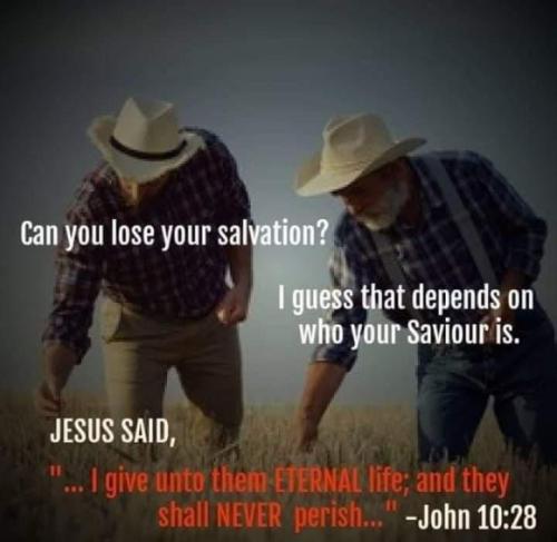 2d801ecd-c6e1-4a77-b5bd-88304b8ae171