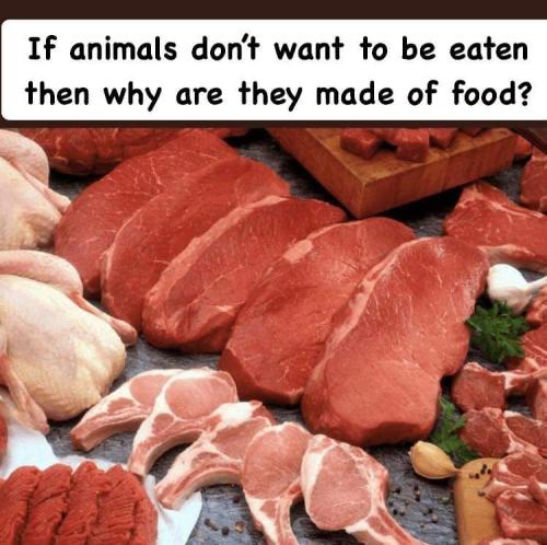 FB_IMG_1706279129404