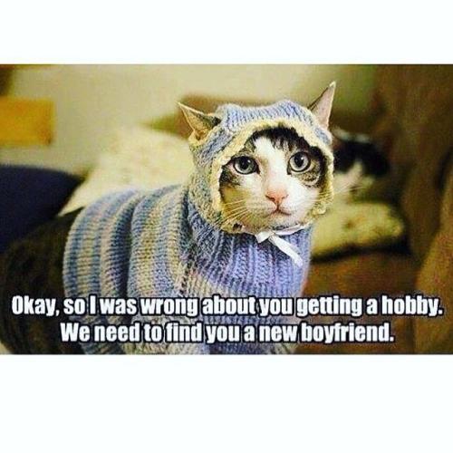 ac0c157e8039bf1467f5d832aad0ff96