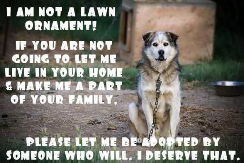 91d81f895dab16e6fe87290339da1b0e