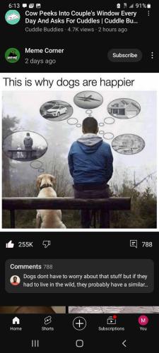 Screenshot_20240104-181306_YouTube