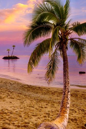 C19106ED-7FED-49E9-80AE-39DC9F920C07